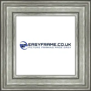 Picture frame only